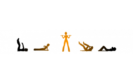 Reprise des cours de Gymnastique d'entretien pour adultes :